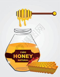液体蜂蜜罐子病媒艺术设计玻璃花蜜金子食物工具木头甜点用具营养产品图片