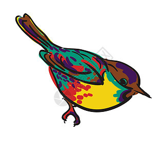 矢量绘图麻雀鸟喉咙冒充翅膀蜂鸟夹子自由绘画翠鸟宠物野生动物图片