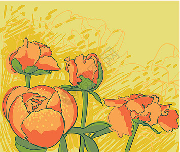 矢量装饰图像牡丹花风格正方形植物学织物草图橙子花店插图墙纸花瓣背景图片
