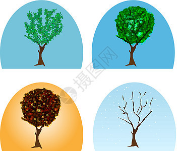 四个季节环境森林植物叶子圆圈季节性生态绿色艺术树木图片