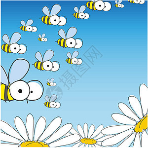 还有Bee Daisy 春季背景图片