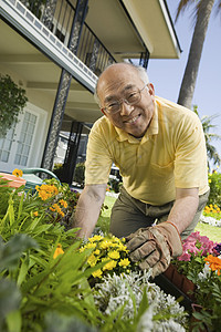 一位在花园工作的快乐老人的肖像图片