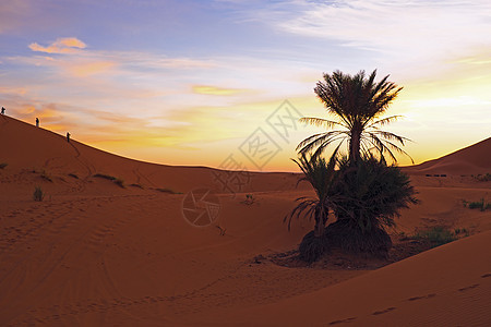 摩洛哥非洲Erg Chebbi沙漠日落图片
