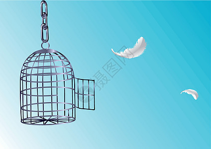开放笼压力插图鸟笼情绪羽毛被拘留者悲伤飞行图片