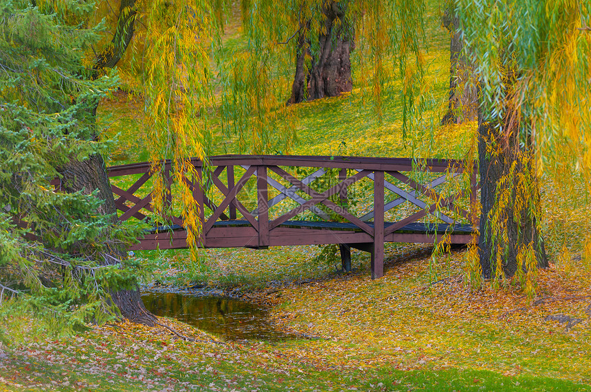秋秋桥绿色公园天桥颜色行人落叶花园水域池塘黄色图片
