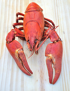 煮熟的鲑鱼红色贝类甲壳类动物海鲜食物烹饪背景图片