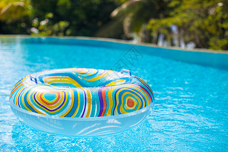 蓝色游泳盆地的多彩泳池浮动阳光闲暇紫色水池手册漂浮玩具反射太阳假期图片