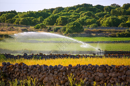 在Menorca巴利阿里克的谷物田上灌溉图片