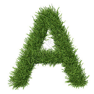 以草草制成的字母字母场地数学地球草地环境植物生态生长绿色植物艺术图片