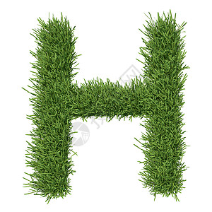 以草草制成的字母字母插图生长生态植物数字绿色植物艺术场地草地地球背景图片