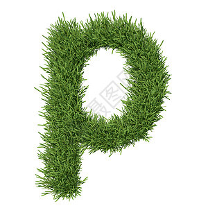 以草草制成的字母字母生态白色草地绿色植物数字草皮字体艺术环境生长图片