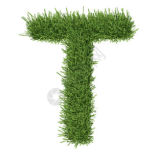 以草草制成的字母字母环境地球草皮场地生长插图数字草地艺术植物背景图片