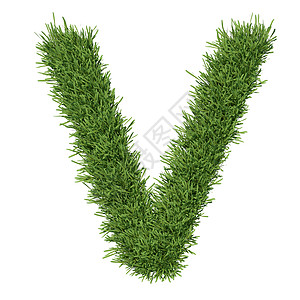 以草草制成的字母字母草地插图字体环境生长数学植物绿色植物生态数字背景图片
