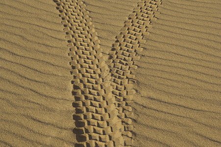 泥沙中的轮胎轨迹图片