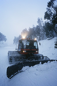 除雪拖拉机澳大利亚乡村小路危险树木田园履带卡车风景运输冒险图片