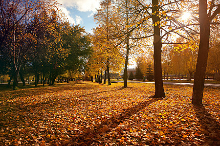 工作场景秋季颜色城市车道时间森林人行道旅行场景天空季节胡同背景