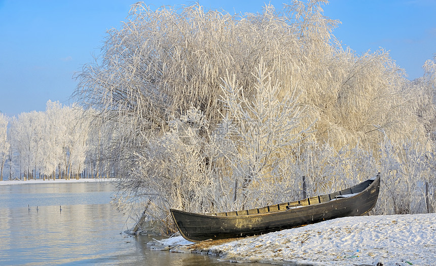 寒冷的冬季树木和船寒意天气风景反射农村场景场地阳光晴天天空图片