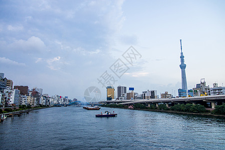东京天树与日本苏门达河4图片