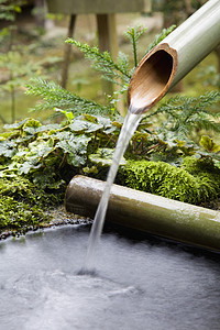 竹管流出的水自来水水管蕨类场景竹勺文化家庭花园洗手盆图片