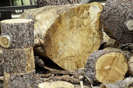 切碎的原木生产电力树干崎岖加工静物木材业制造业树桩风化图片