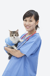 亚洲女性兽医将猫放在灰色背景之上的肖像图象图片