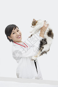 女性兽医在灰色背景下抓猫的肖像图象图片