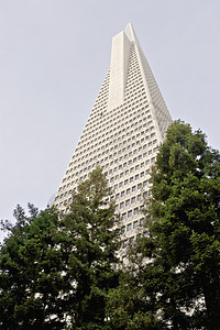 威廉佩雷拉设计的 旧金山  低角度视图窗户建筑建筑学摩天大楼石英城市天空地标白色外观图片