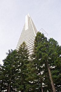 威廉佩雷拉设计的 旧金山  低角度视图城市地标窗户石英天空白色建筑学建筑摩天大楼外观图片
