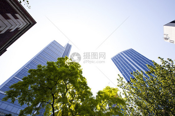从树上看到天梯摩天大楼场景景观建筑绿色城市图片