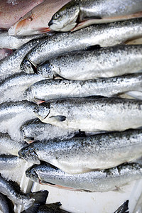 海鲜图新捕到的红鱼全框架镜头渔业食物健康饮食动物海鲜零售市场特价展示保鲜背景