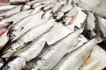 市场中新渔获鱼的特写食品加工渔业健康饮食零售营养食物动物保鲜展示海鲜图片