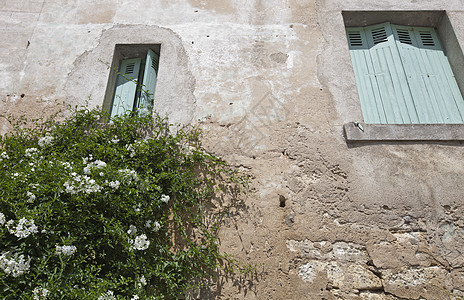 岩壁房屋的低角视图 花草在地表种植图片