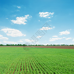 绿色农业田地上的光云图片