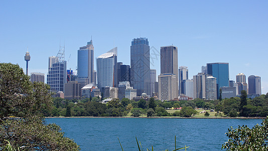 澳大利亚悉尼旅行全景城市旅游摩天大楼港口假期天际图片