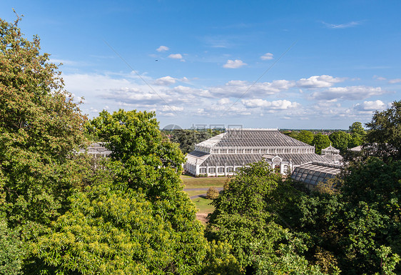 邱园的温室生长农业历史性植物园艺绿色皇家白色时代房子图片