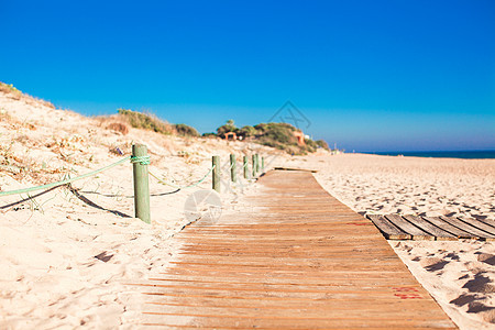 木板在海滩上行走的近视人行道游客旅行海岸线平底锅地平线娱乐闲暇生态旅游冒险图片