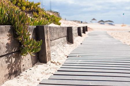 木板在海滩上行走的近视旅行娱乐游客生态旅游地面假期地平线木头活动海洋图片