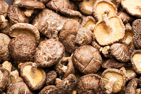 干蘑菇的堆积美食蔬菜健康食物团体脱水药品菌类图片