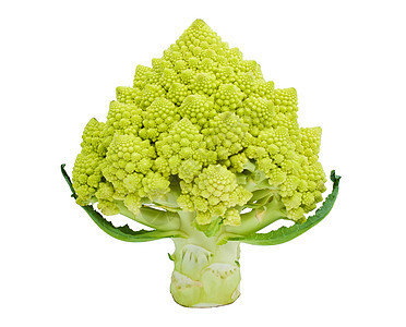 罗曼尼斯科花椰菜螺旋白色宏观绿色农业发芽食物菜花图片