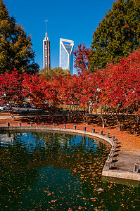 Charlotte 城市天线秋季季节植物建筑物住宅区景观天际树木季节性数控市中心图片