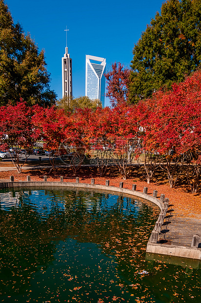 Charlotte 城市天线秋季季节植物建筑物住宅区景观天际树木季节性数控市中心图片