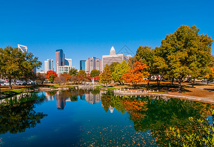 Charlotte 城市天线秋季季节天际景观数控植物住宅区建筑物市中心树木季节性图片