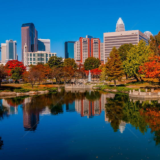 Charlotte 城市天线秋季季节树木天际季节性景观住宅区建筑物数控植物市中心图片