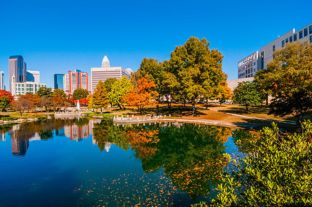 Charlotte 城市天线秋季季节植物景观市中心建筑物树木天际季节性住宅区数控图片