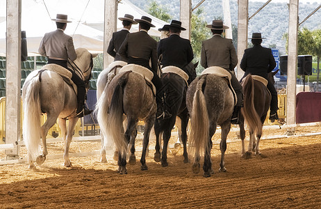 在安杜贾尔举行着装展览会后 一群骑马人在背上骑马图片