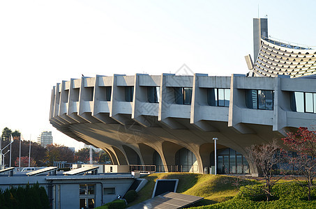 日本东京Yyoogi国家体育馆曲线建筑学现代主义者运动员体育场竞赛空白运动游戏游泳图片