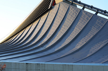 日本东京 日本国家体育馆Yoyogi免费屋顶游泳游戏运动曲线现代主义者建筑体育场竞技场国家建筑学图片