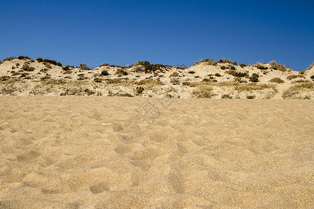 与沙丘植被和沙子的海滩风景蓝色旅行海岸线海岸旅游天空假期海洋图片
