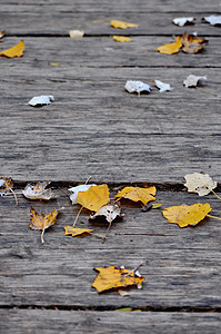 木路上的秋叶图片