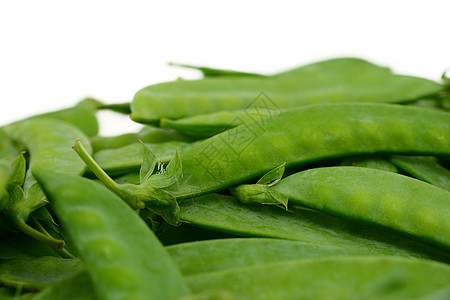 青豆植物绿色蔬菜宏观图片
